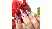 Fantasy Nail Spa
