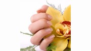 Venus Nail Salon