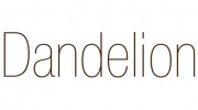 Dandelion Hair Salon