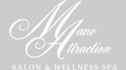 Mane Attraction