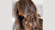 Salon V